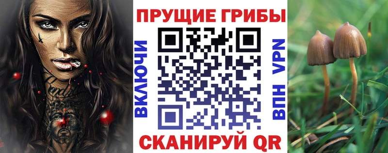 shop телеграм  Струнино  Галлюциногенные грибы прущие грибы 